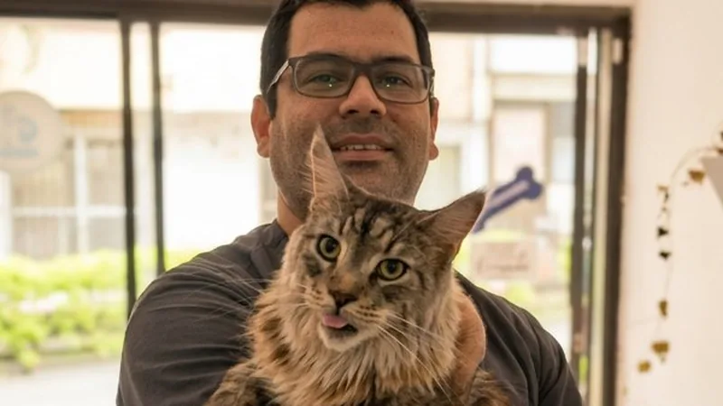 Dos profesionales veterinarios atendiendo a un perro